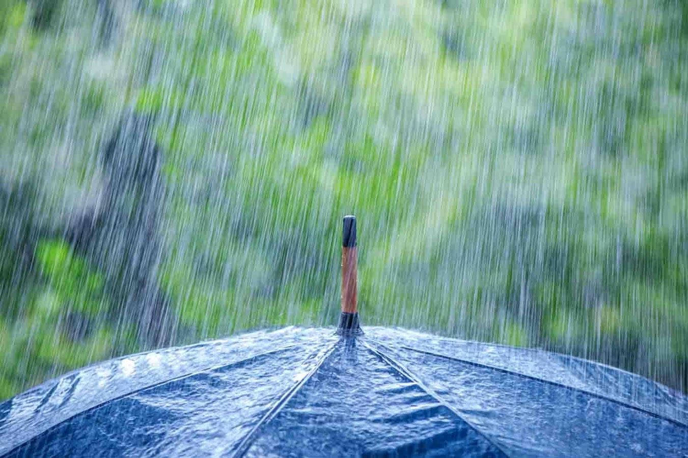 Rain On Top Of Umbrella Background