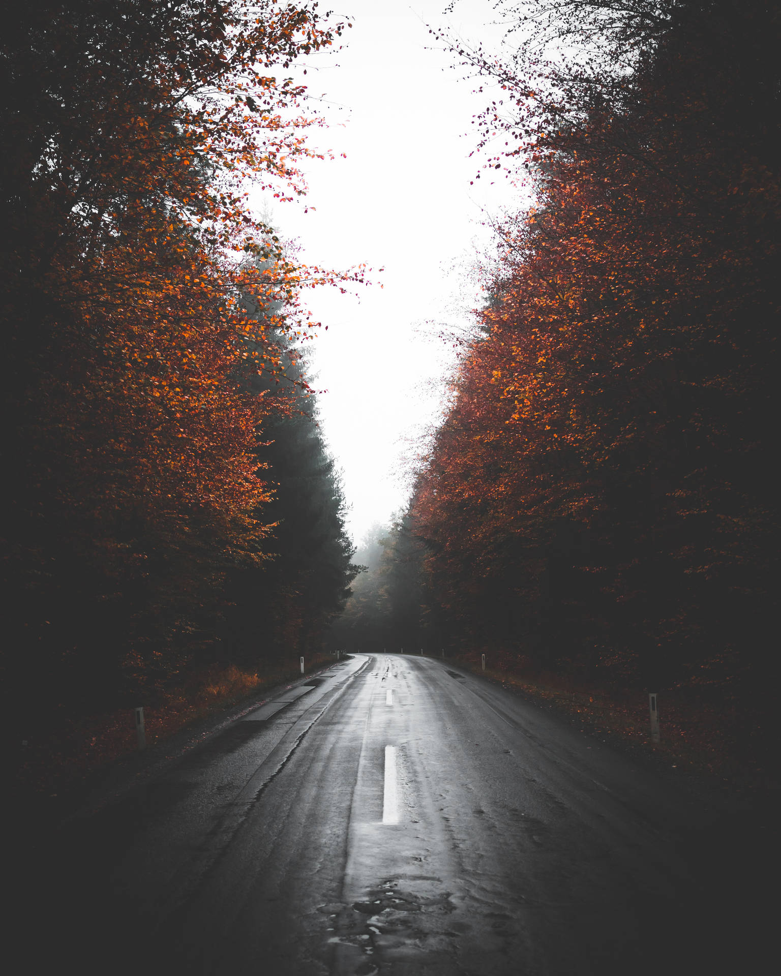 Rain-soaked Road