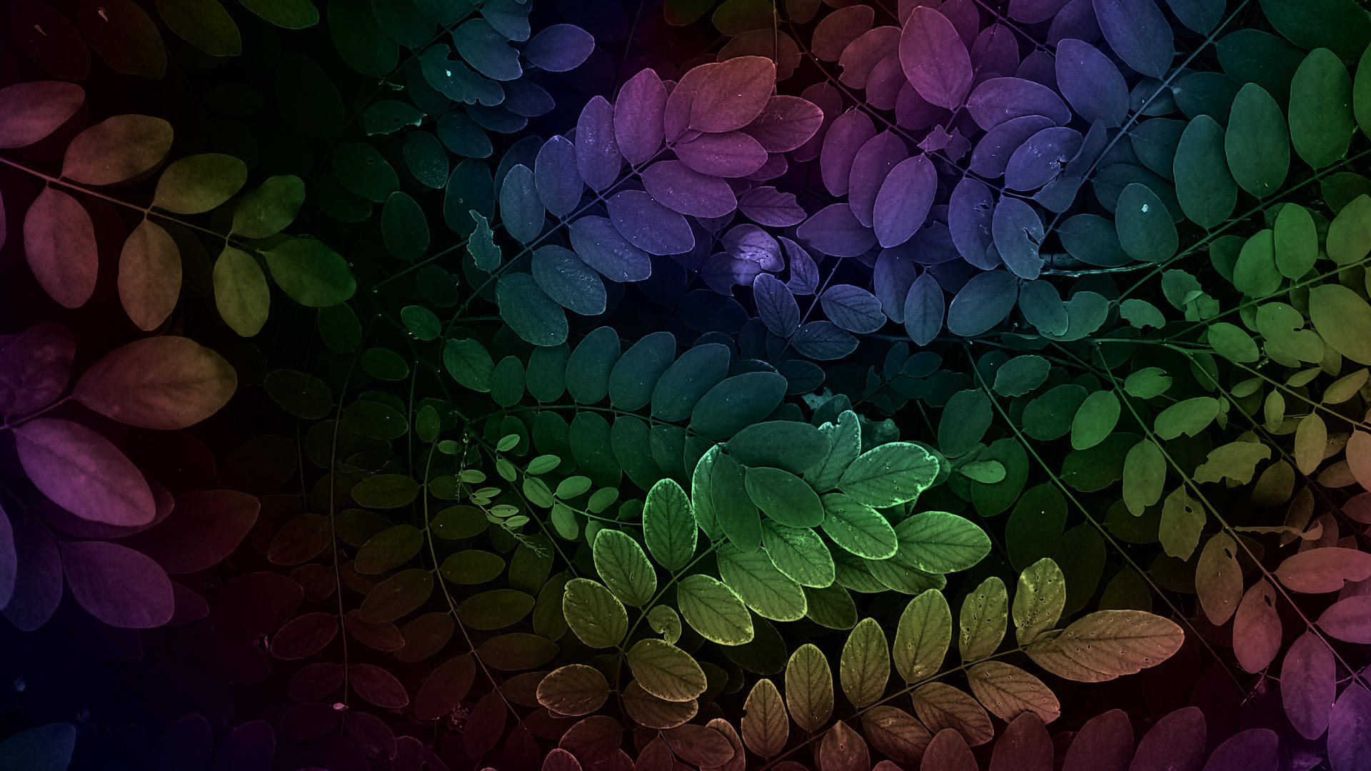 Rainbow Aesthetic Leaves Background