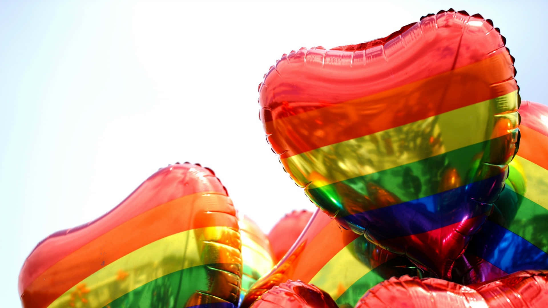 Rainbow Balloons Pride Desktop