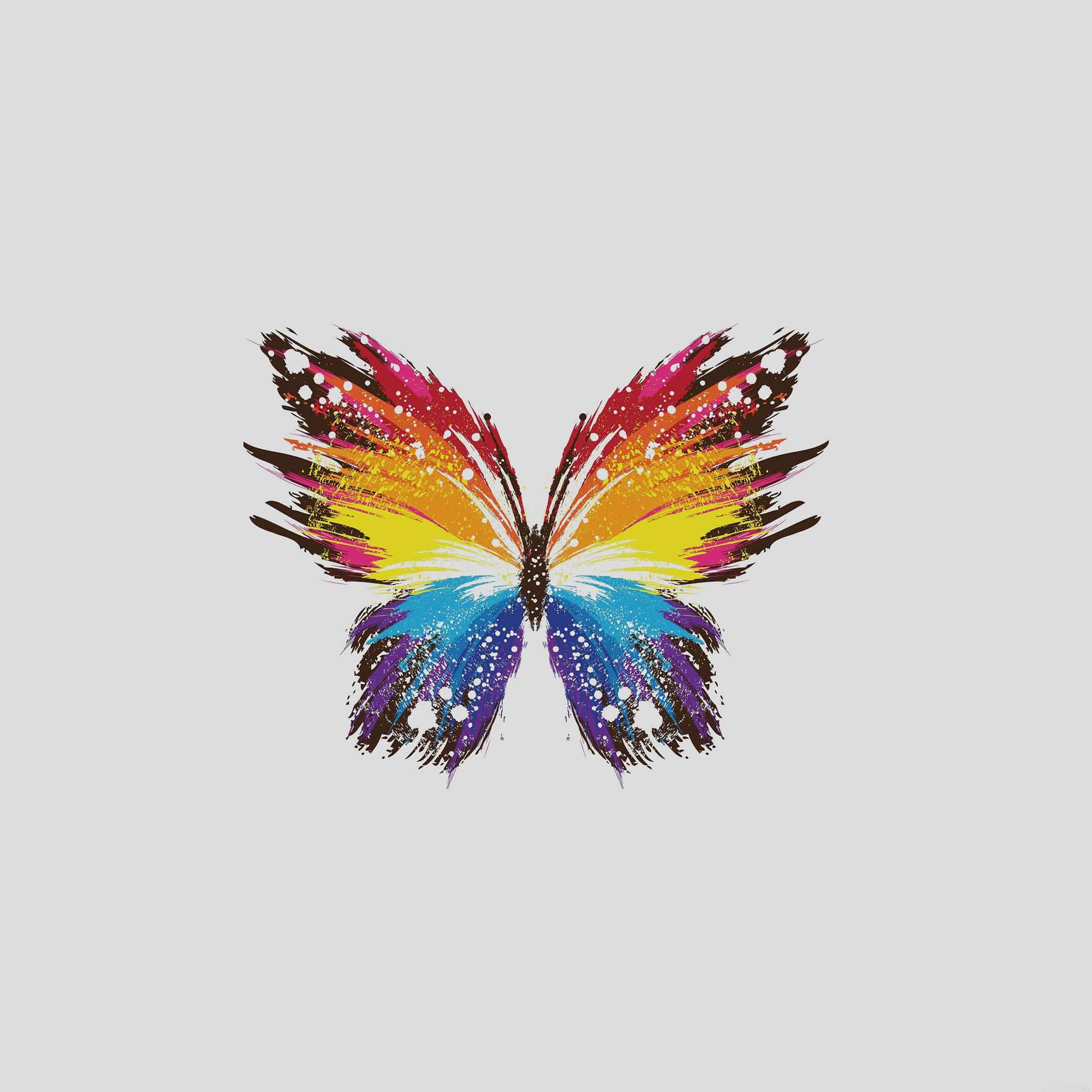 Rainbow Butterfly Art Cute Girly Ipad
