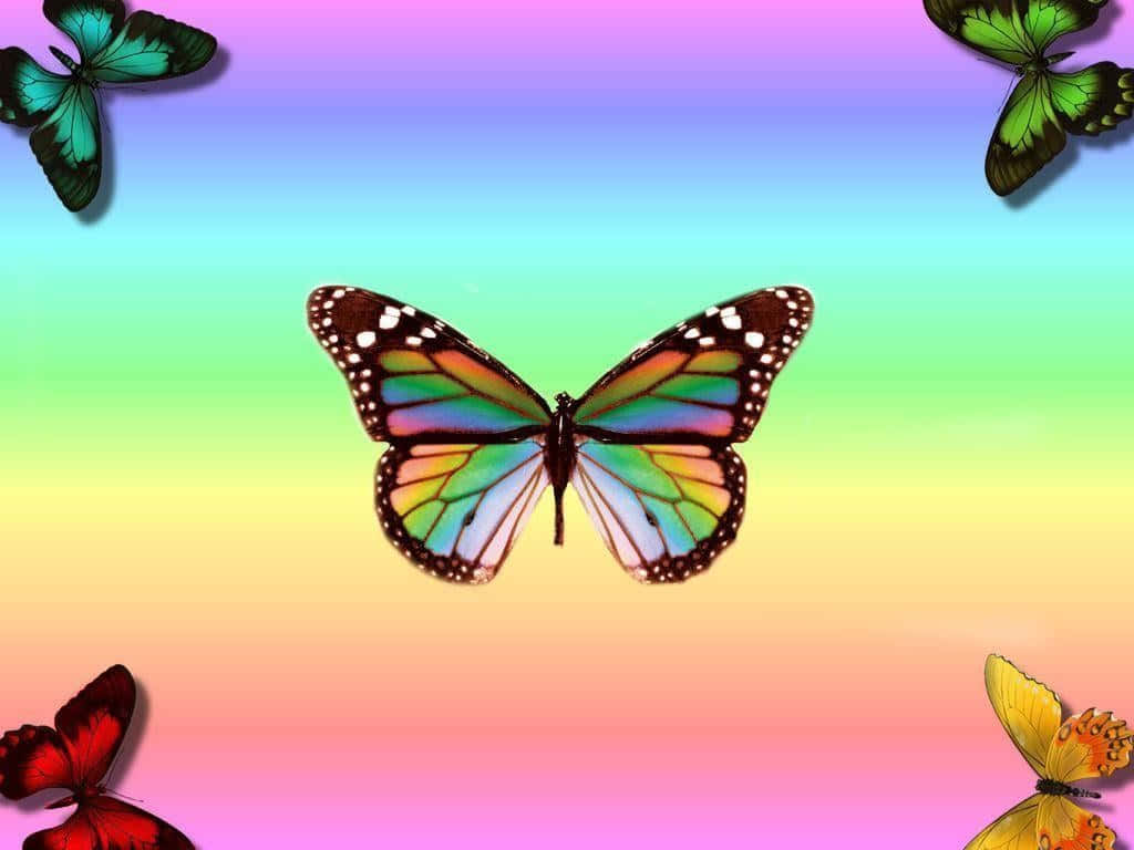 Rainbow Butterfly Desktop