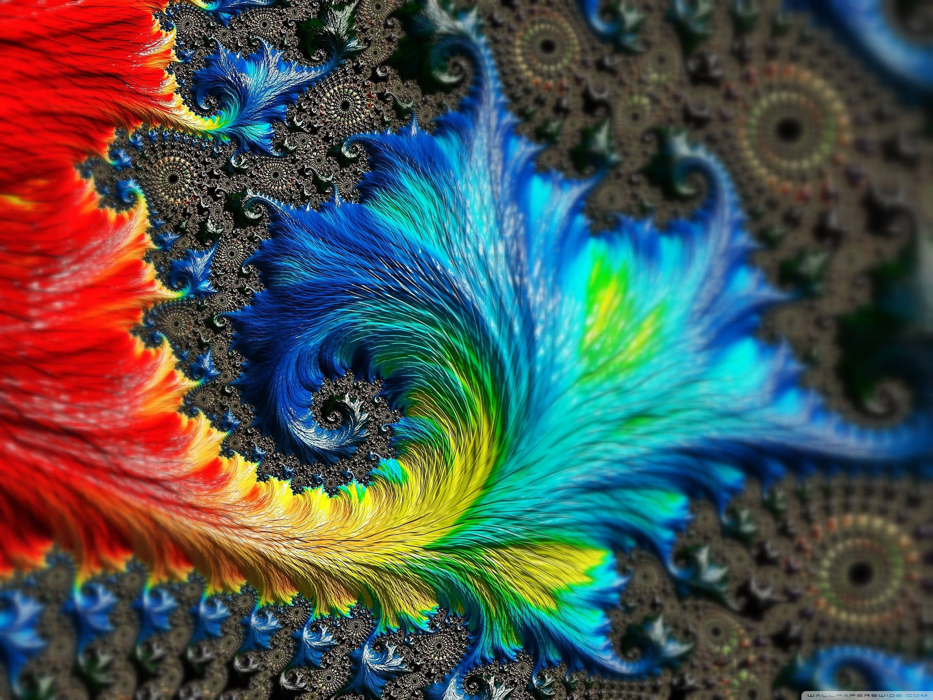 Rainbow Fishtail Fractal Pattern Background