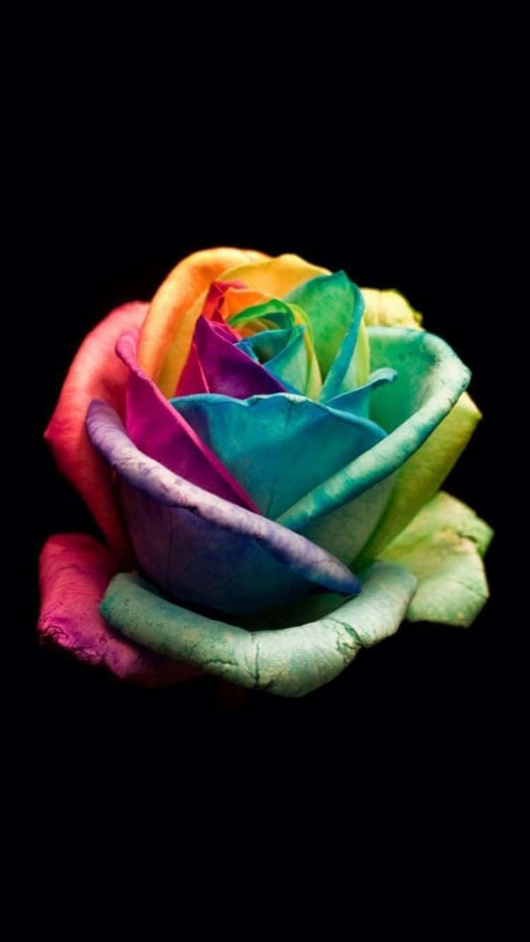 Rainbow Flower Iphone On Black Background Background