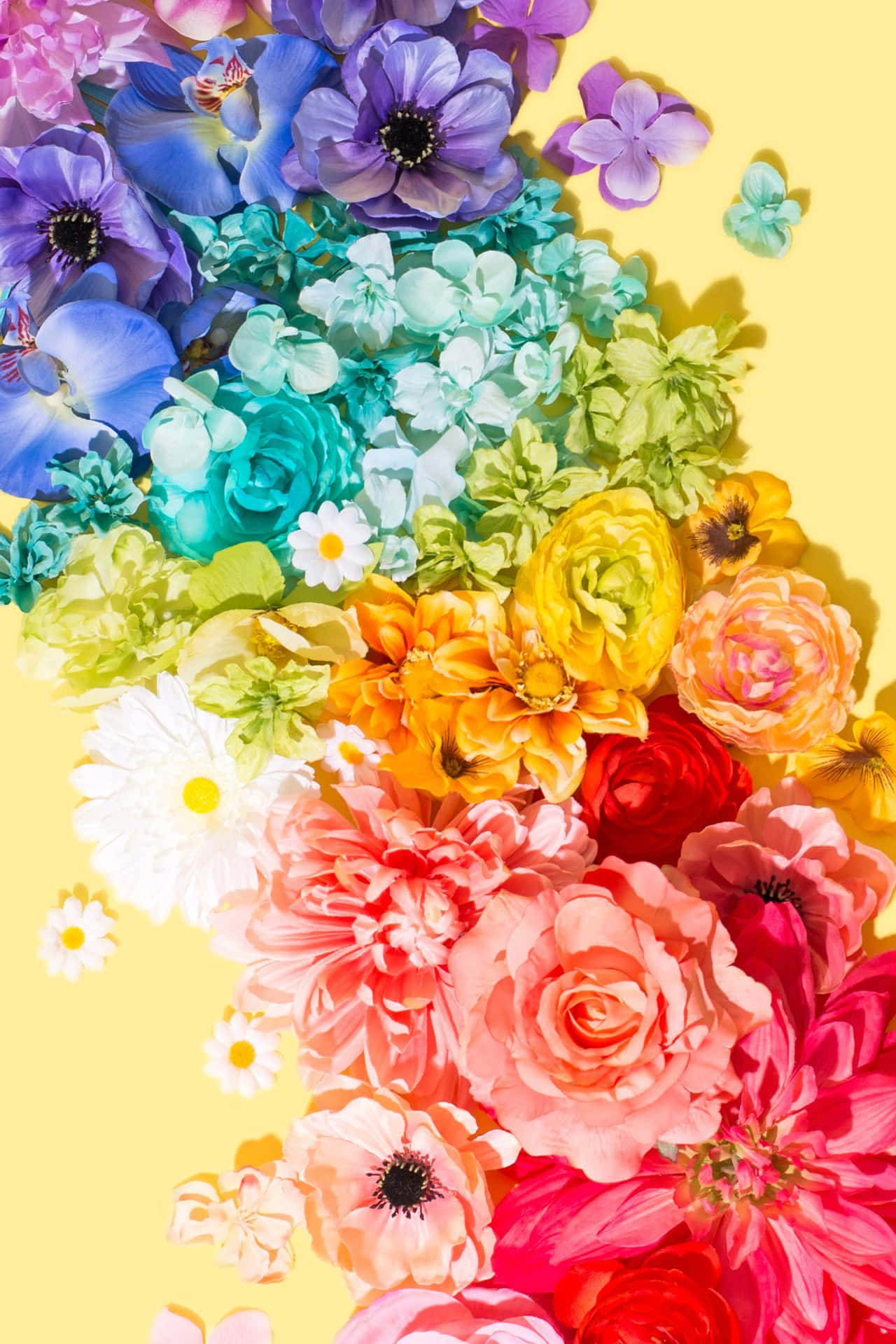 Rainbow Flower Iphone On Yellow Background Background