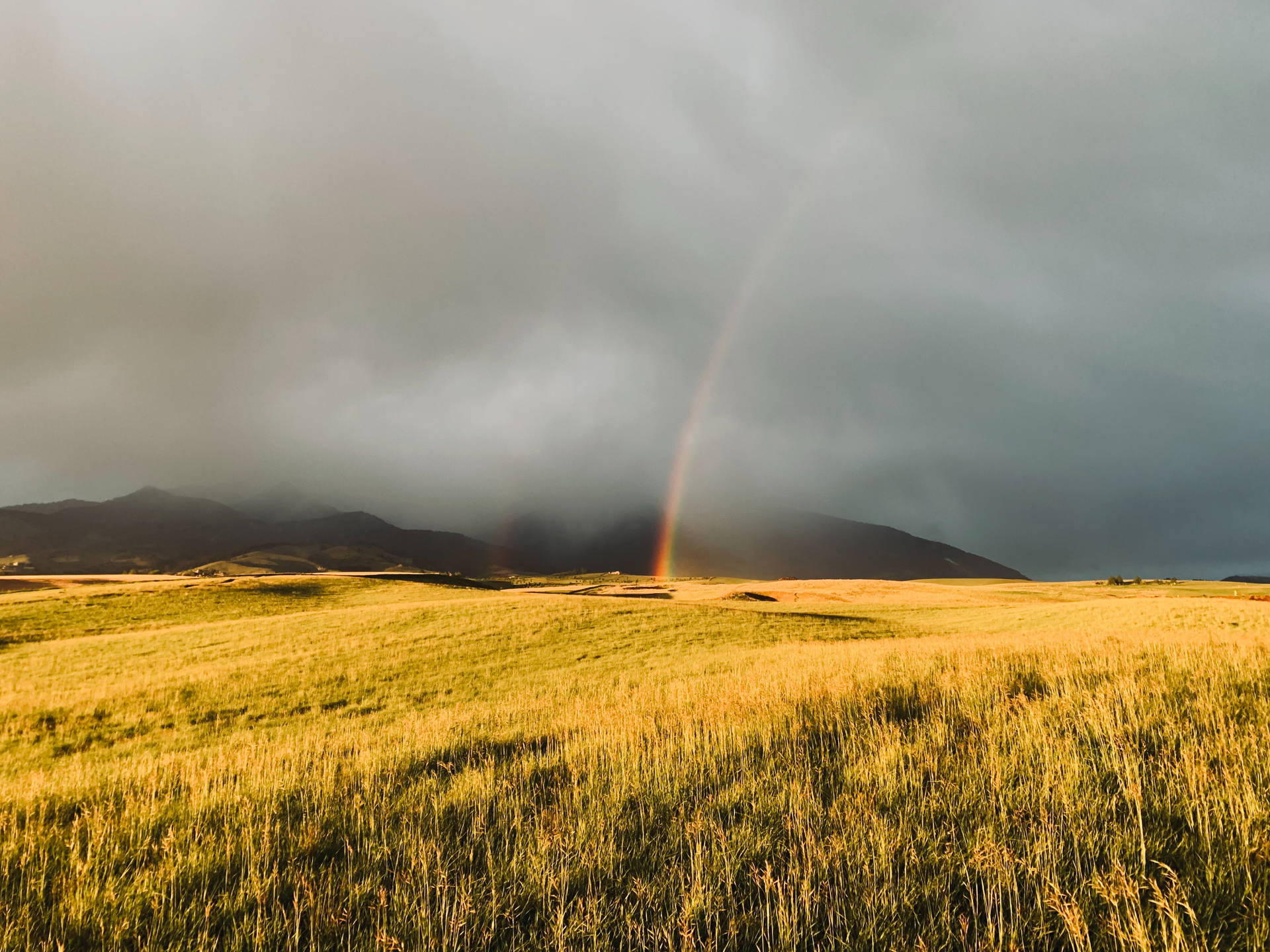Rainbow In Field Background