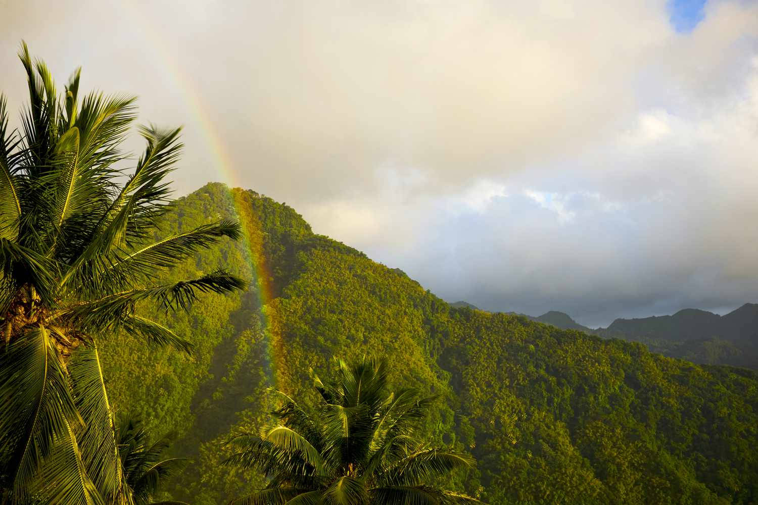 Rainbow In St. Lucia Background