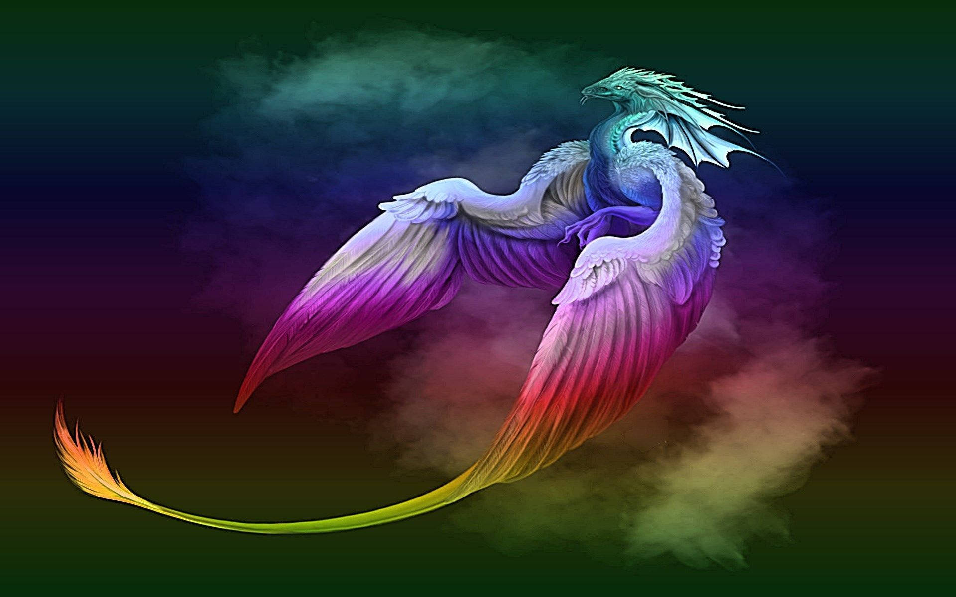 Rainbow Phoenix Full Hd Background