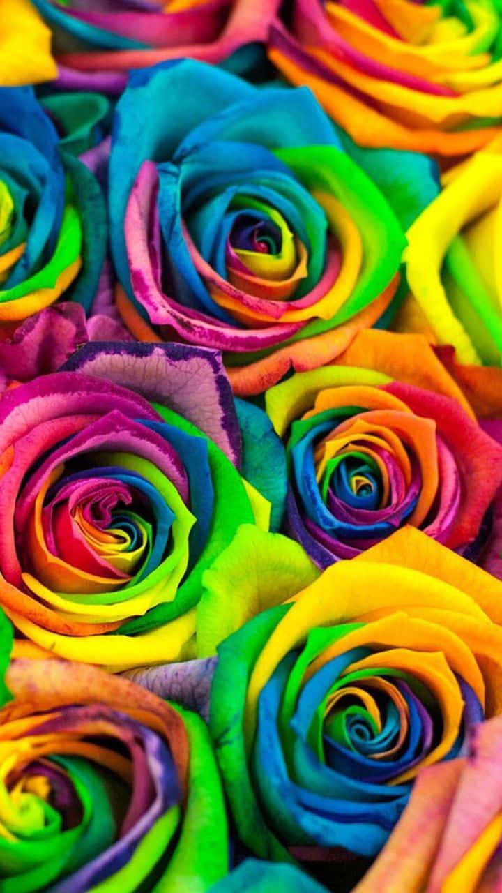 Rainbow Roses In A Bouquet Background