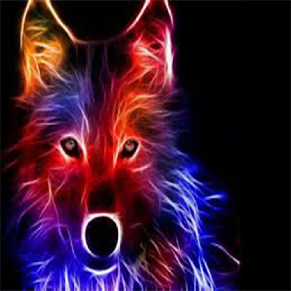 Rainbow Wolf Looking Straight Background