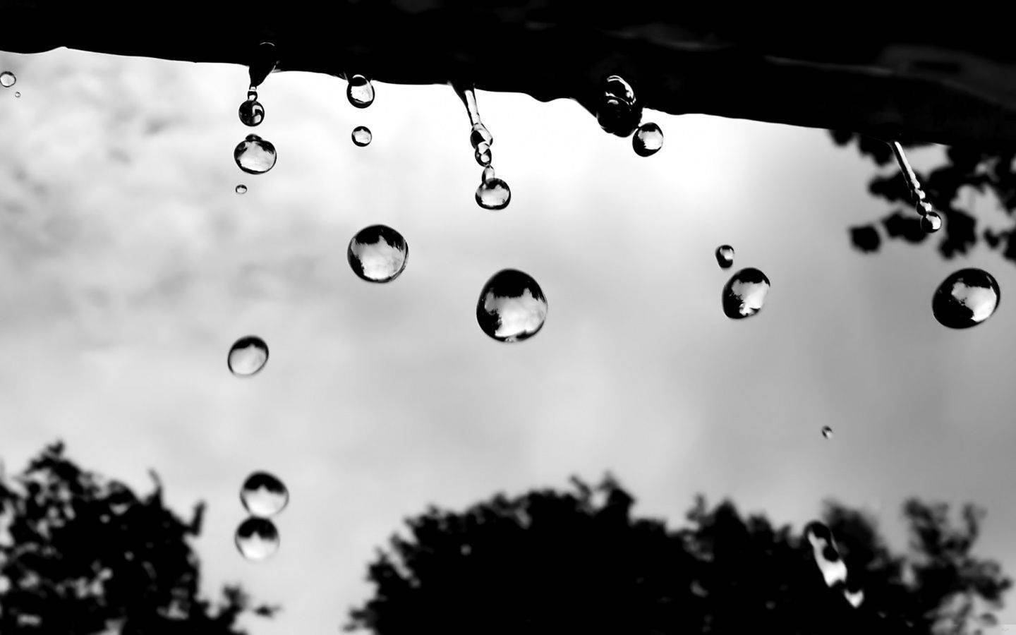 Raindrops Dripping From The Roof Low Angle Background