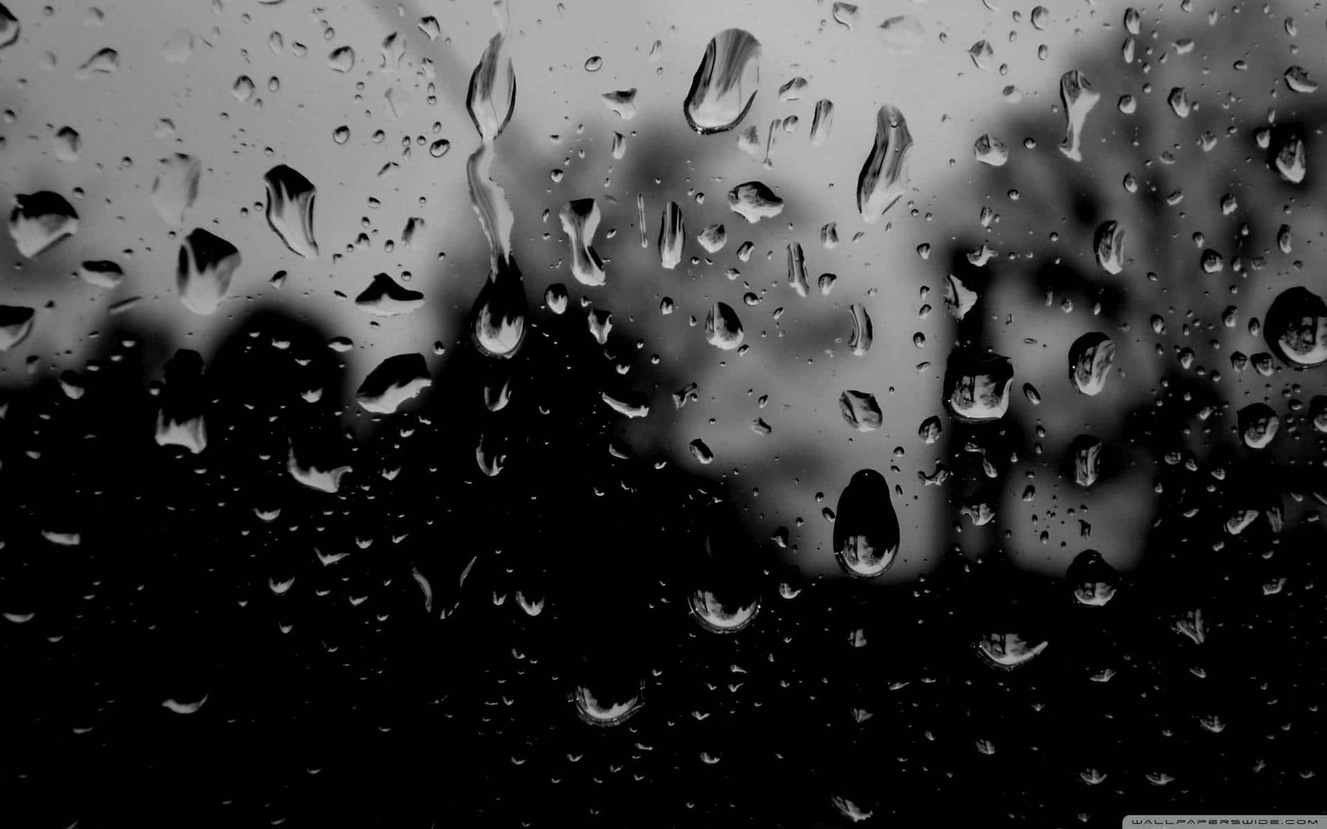Raindrops On A Window In Black And White