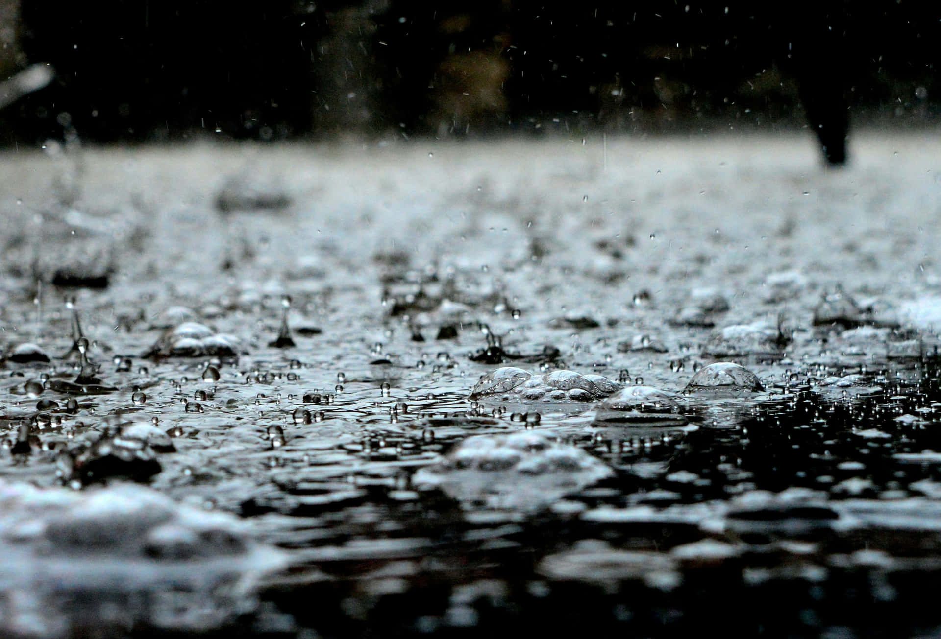Raindrops_ Pattering_on_ Wet_ Surface_ H D Background