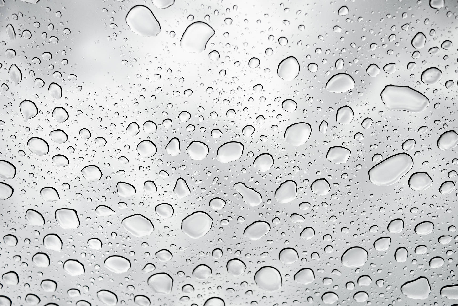 Raining Droplets On Glass Surface