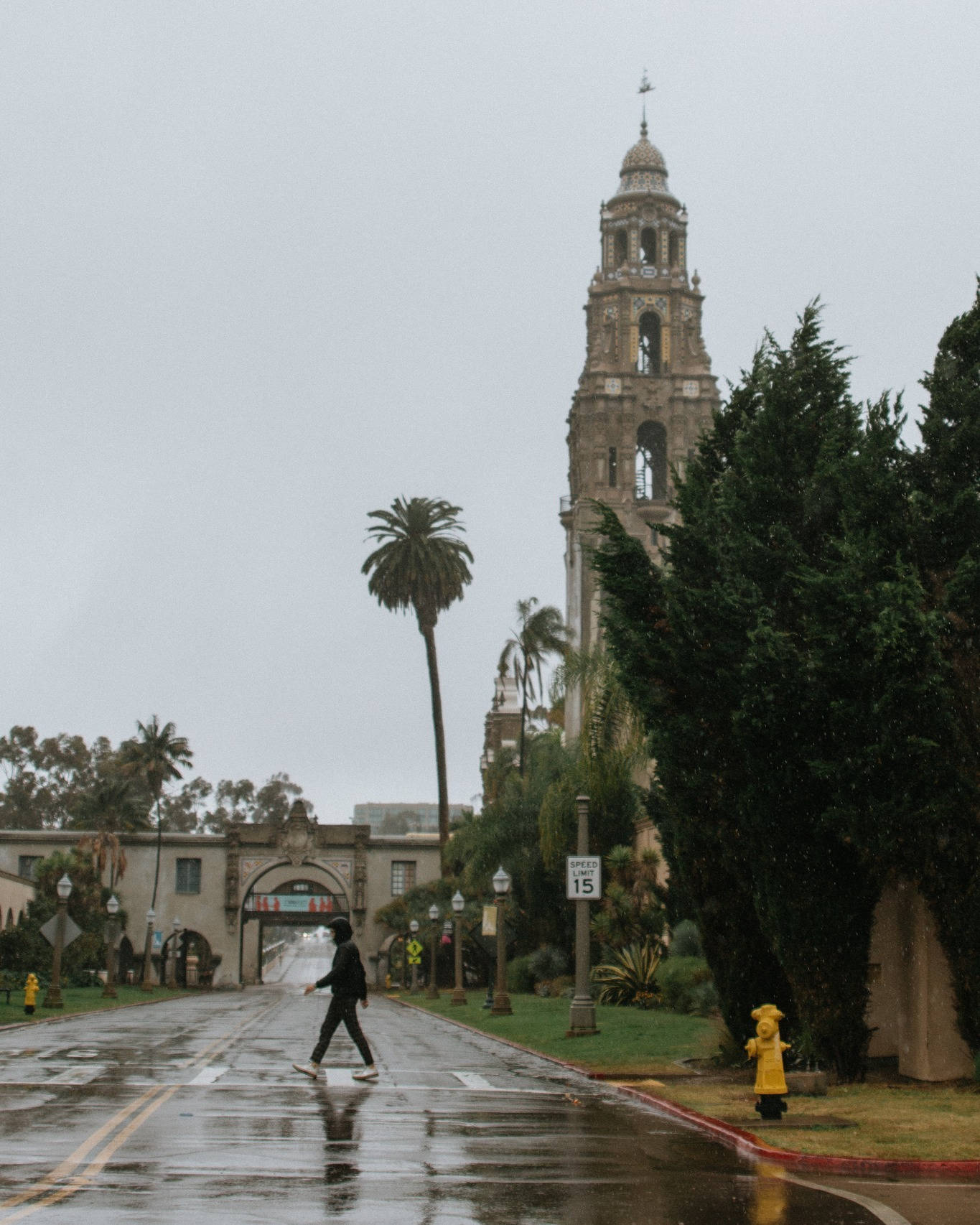 Rainy Day At Balboa Park Background