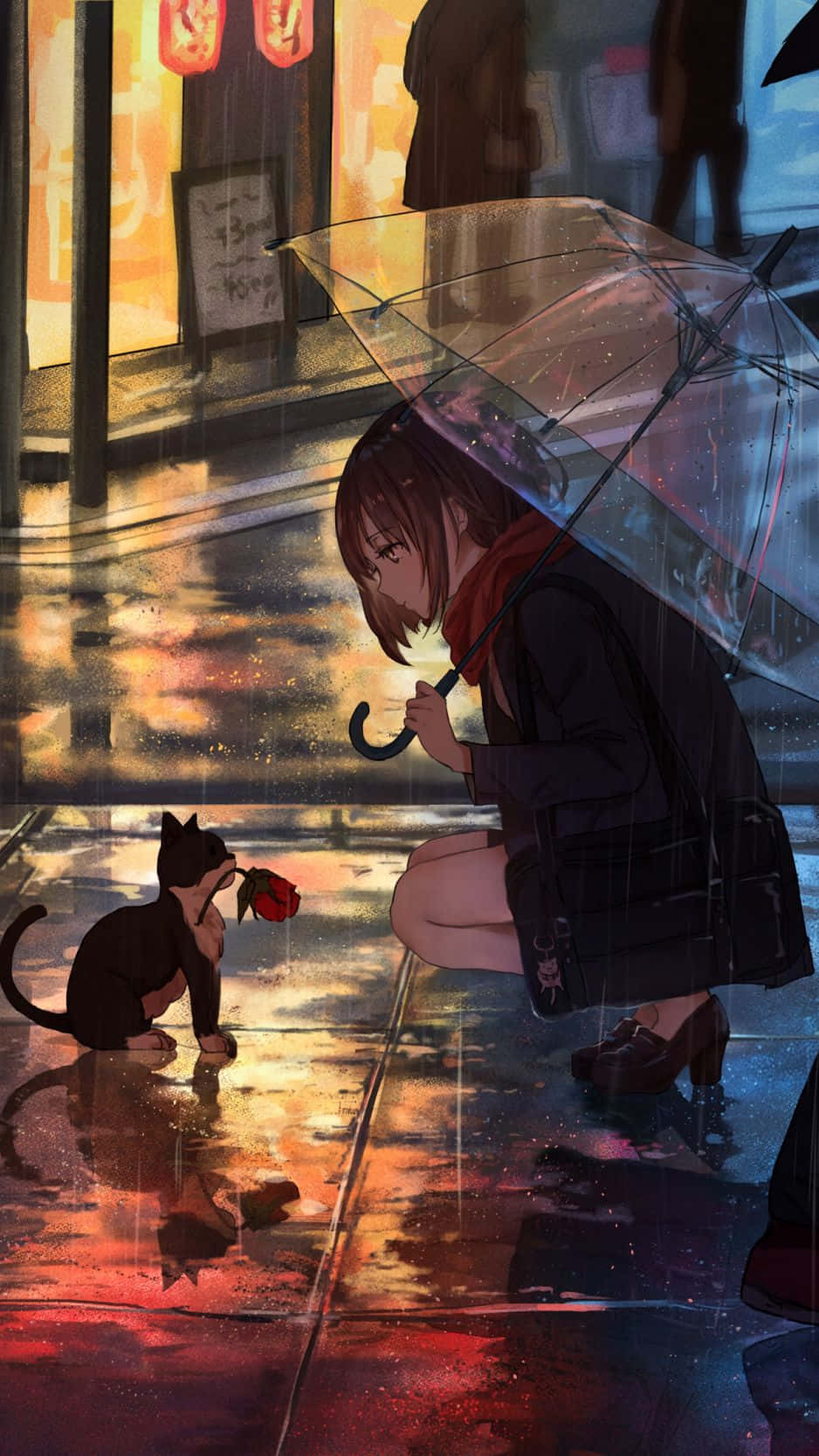 Rainy Encounter With A Cat Background