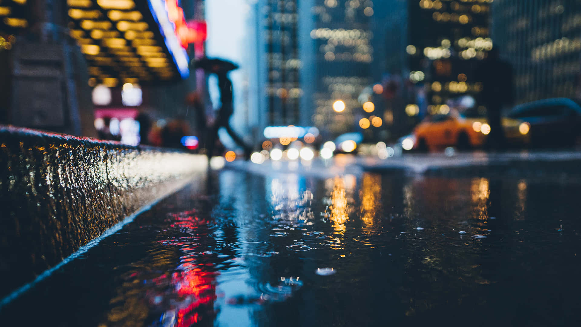 Rainy Street Shallow Photography Background