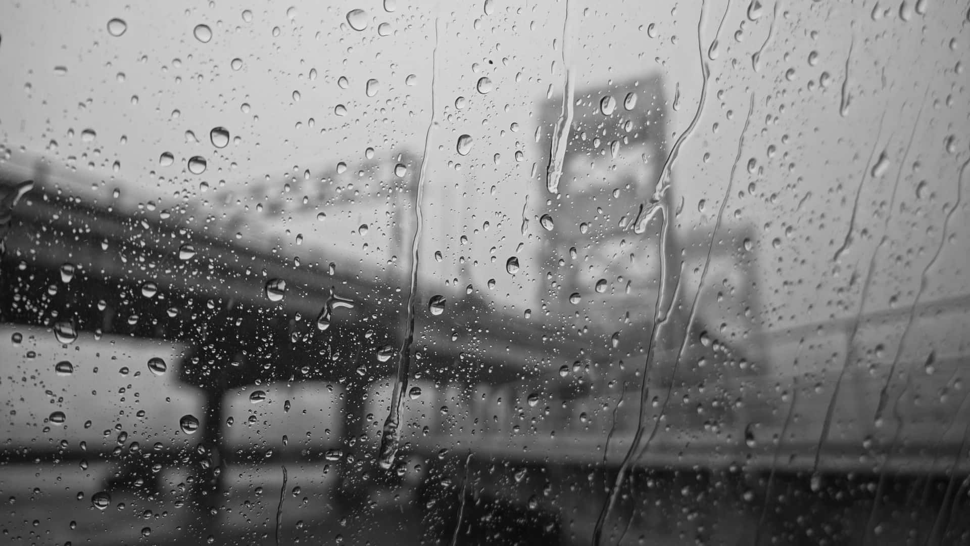 Rainy_ Window_ Black_and_ White Background