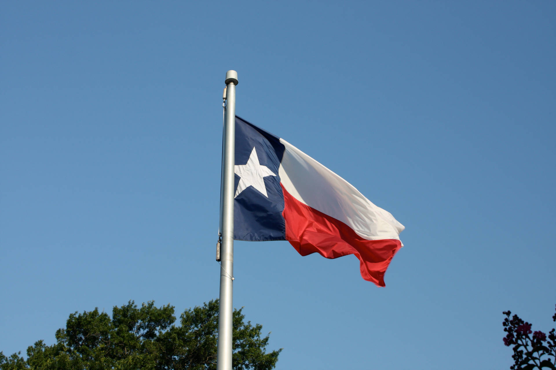 Raised Texas Flag