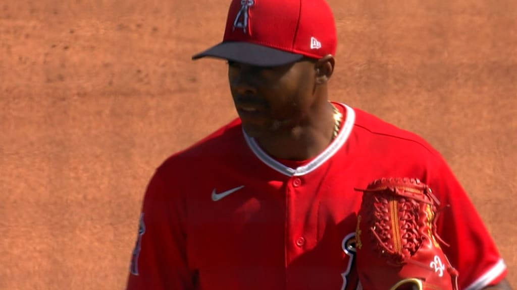 Raisel Iglesias Shadow