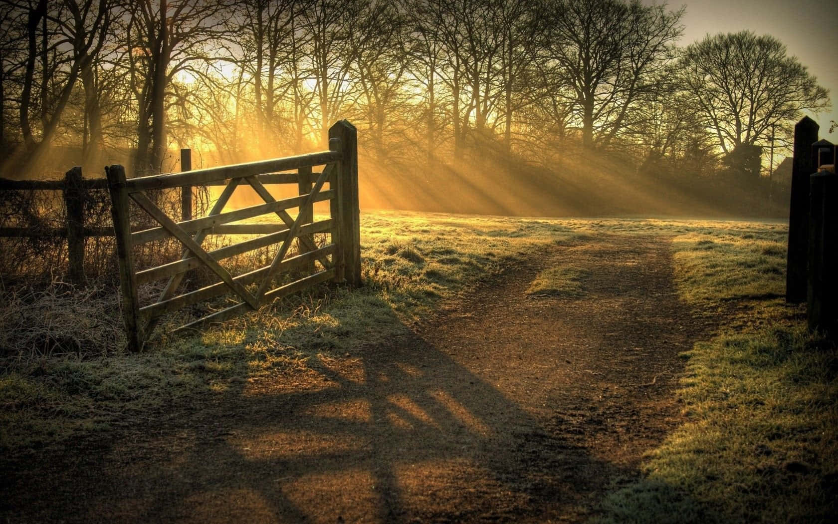 Ranch Golden Hours Country Scenes Background