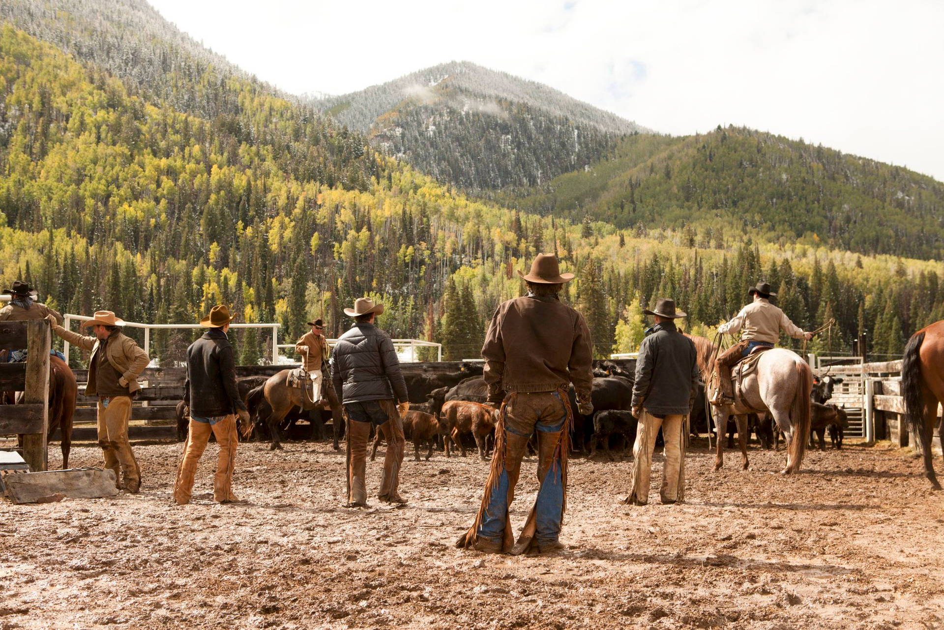 Rancher Gazes At The Captivating Landscape Of Yellowstone Background