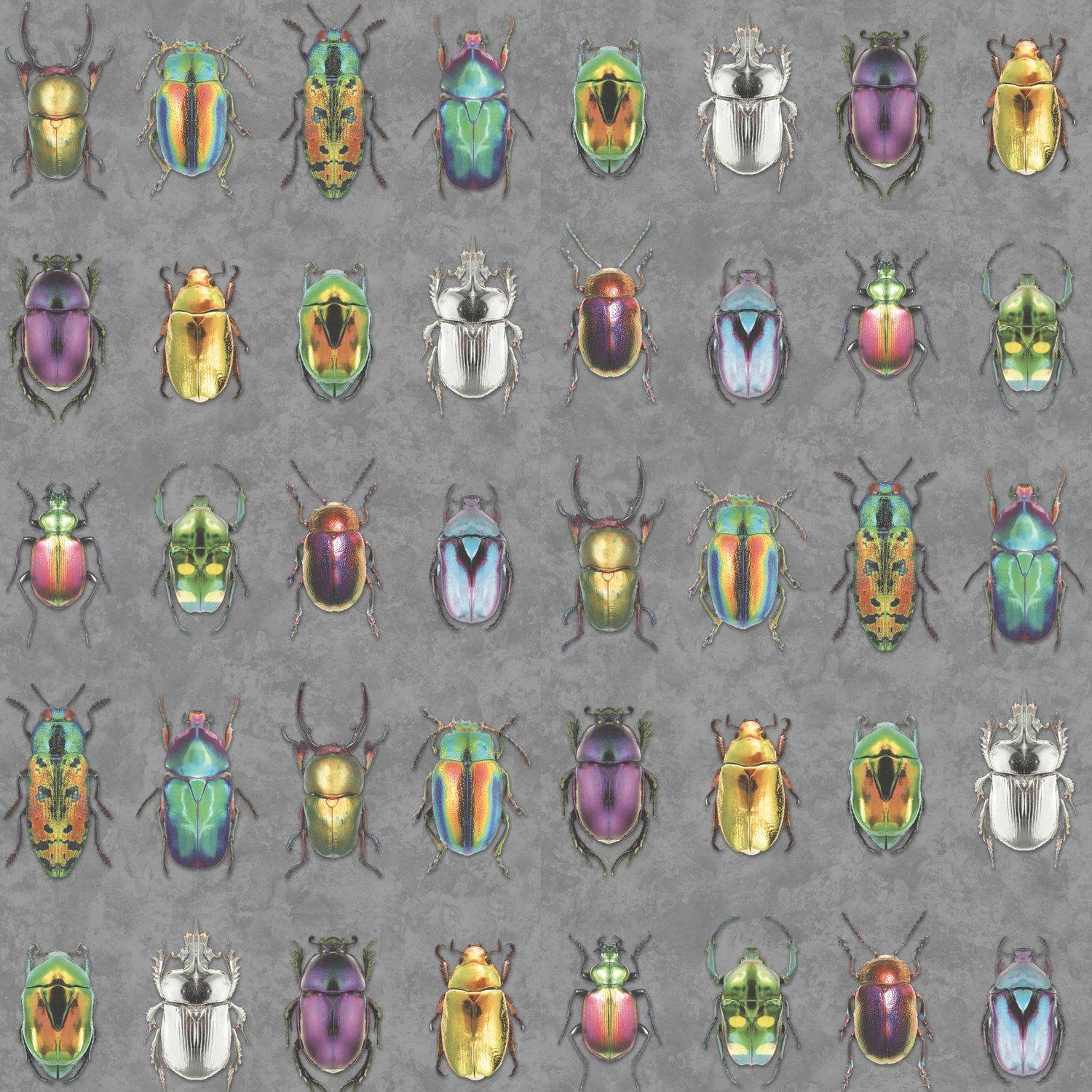 Random Beetle Insects Background