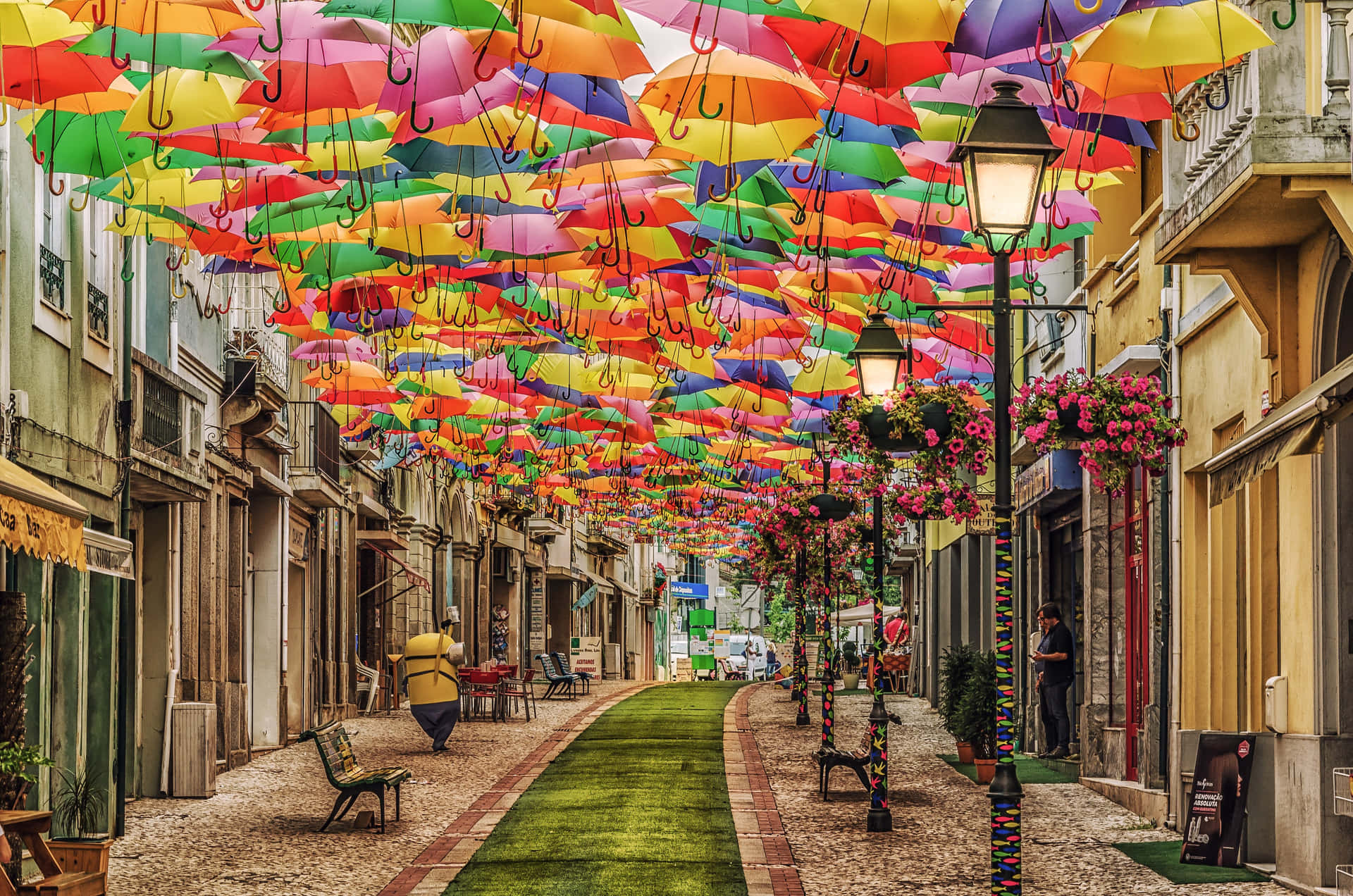 Random Person In Street With Colorful Umbrellas Background