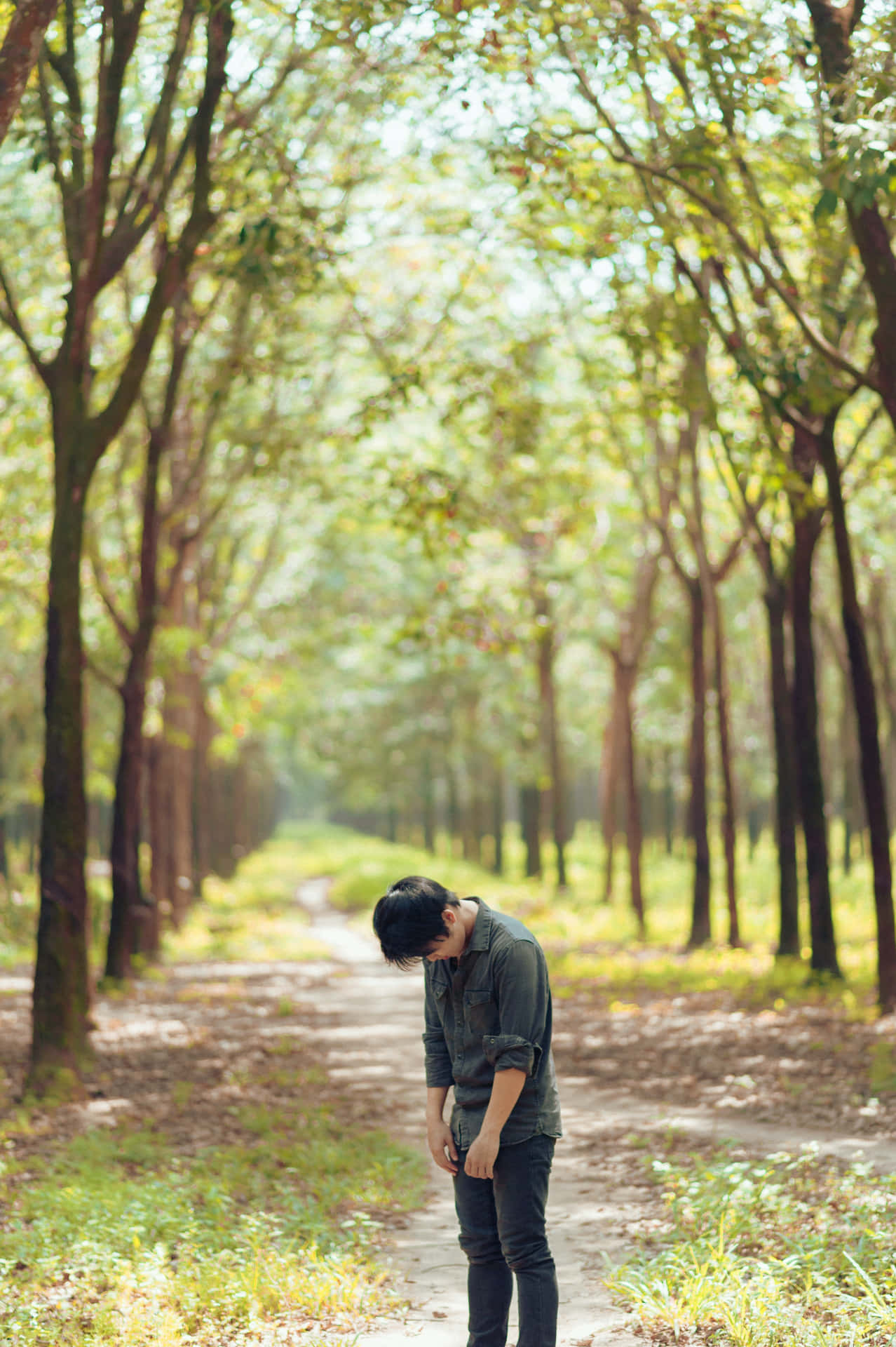 Random Person In Wooded Path Background