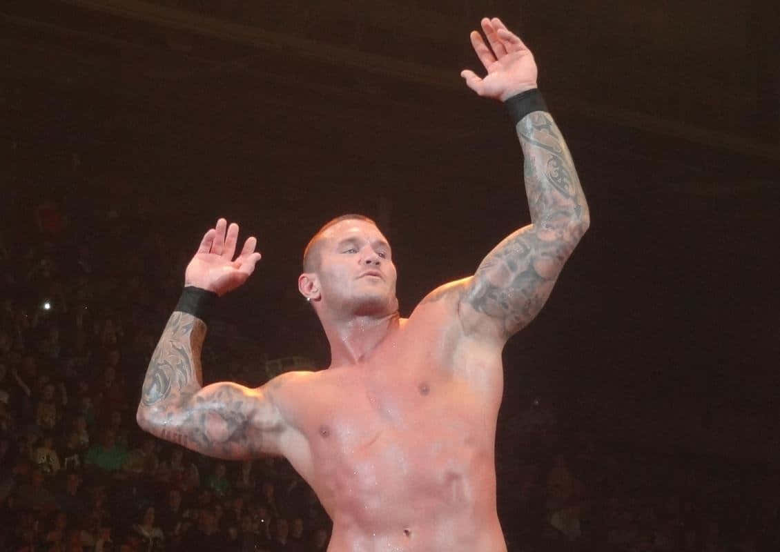Randy Orton, Professional Wrestlers And Wwe Superstar Background
