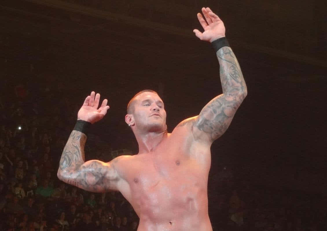 Randy Orton, Professional Wrestlers And Wwe Superstar