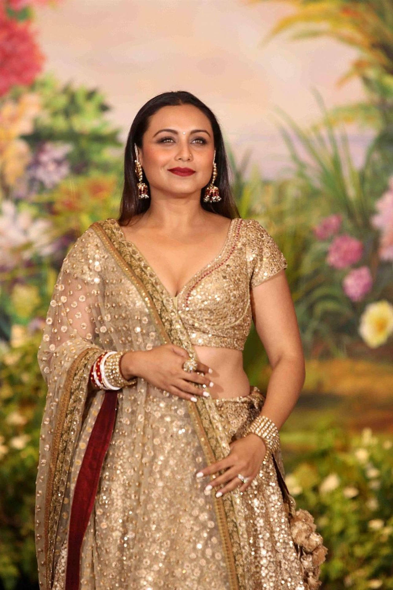 Rani Mukerji In Gold Saree Background