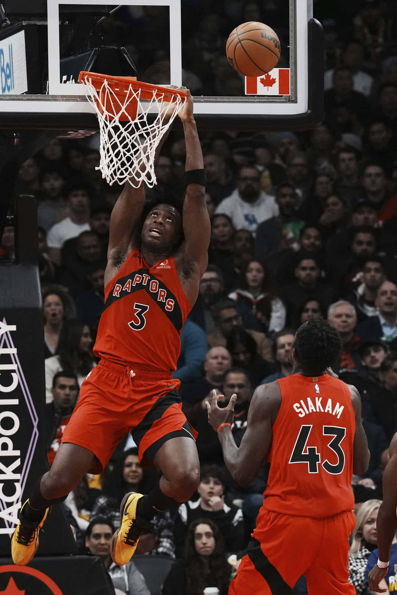 Raptors Og Anunoby Slamdunk