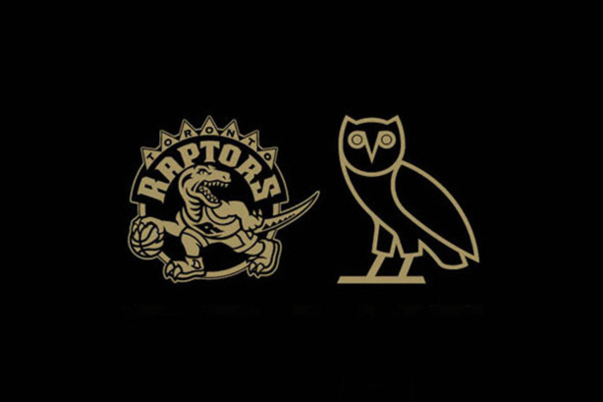 Raptorsand O V O Owl Logo Background