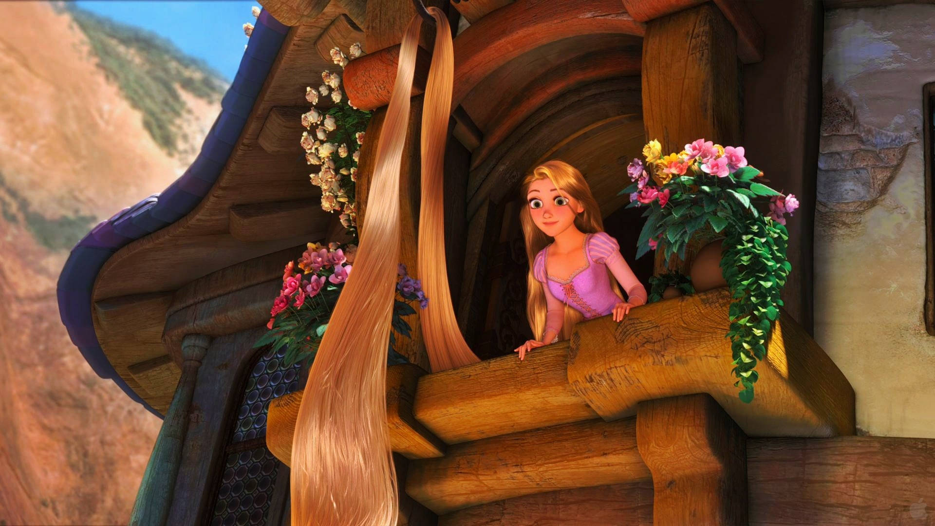 Rapunzel Patiently Awaits Her Rescue At Her Tower Window. Background