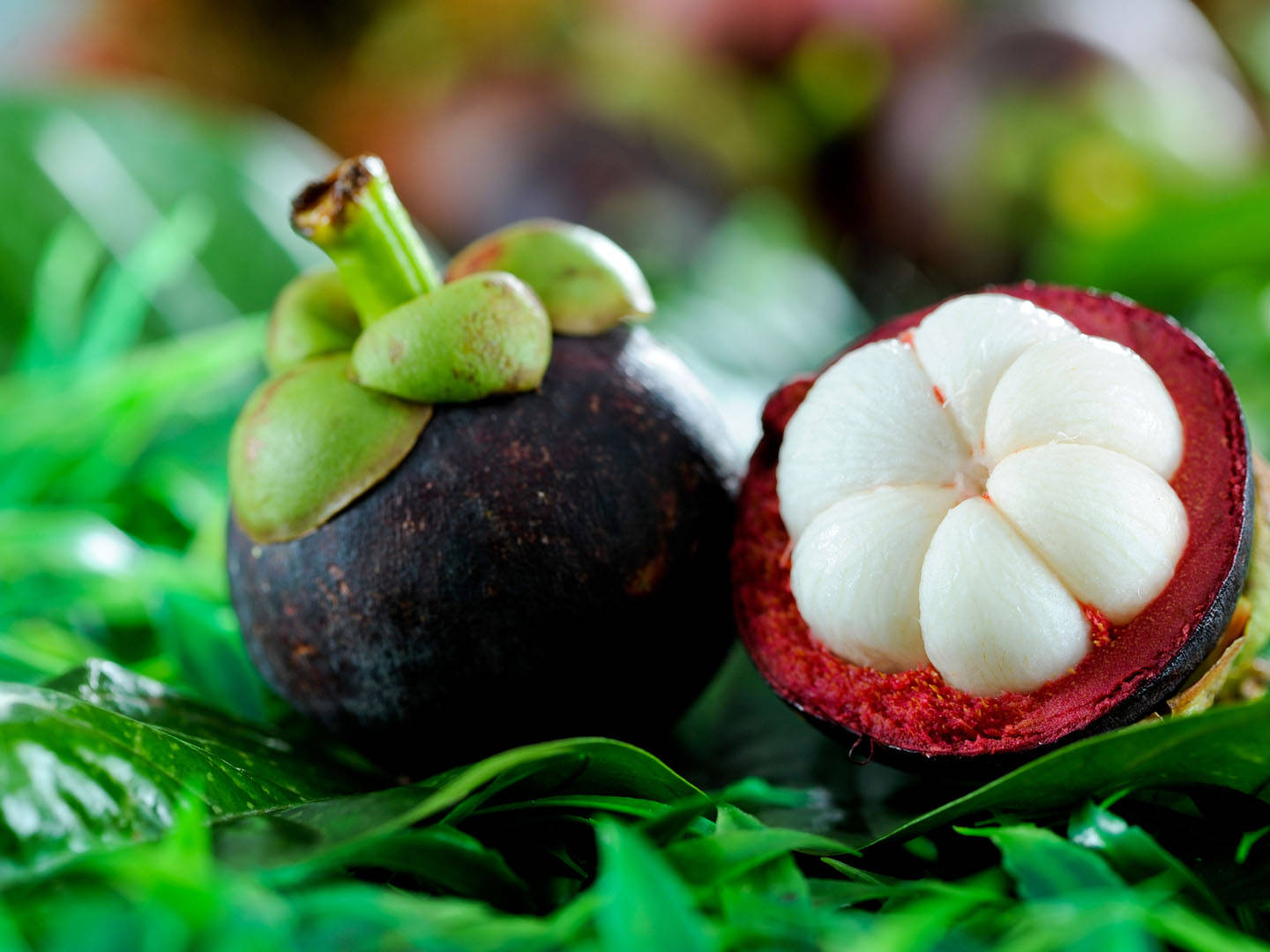 Rare Purple Mangosteen Fruit Background