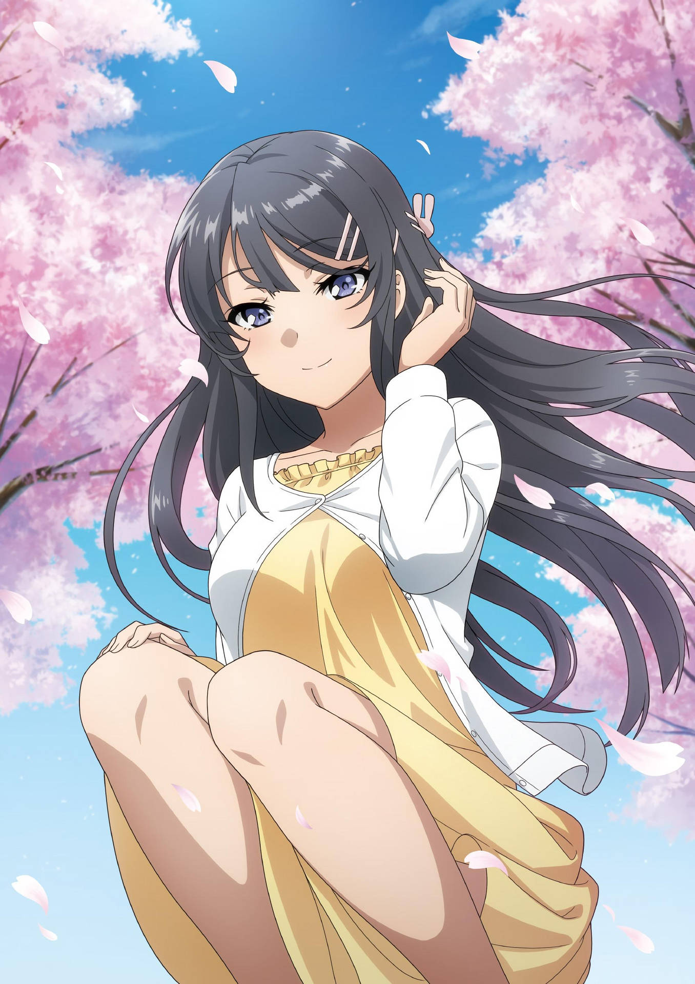 Rascal Does Not Dream Of Bunny Girl Senpai Cherry Blossom Background