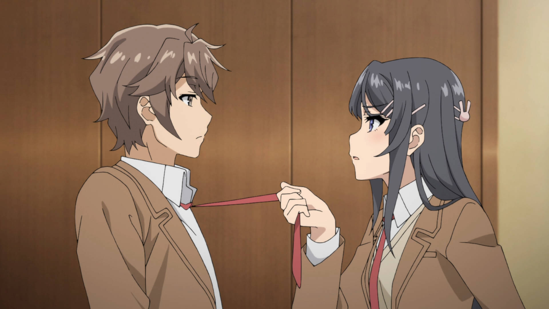 Rascal Does Not Dream Of Bunny Girl Senpai Cute Couple Background