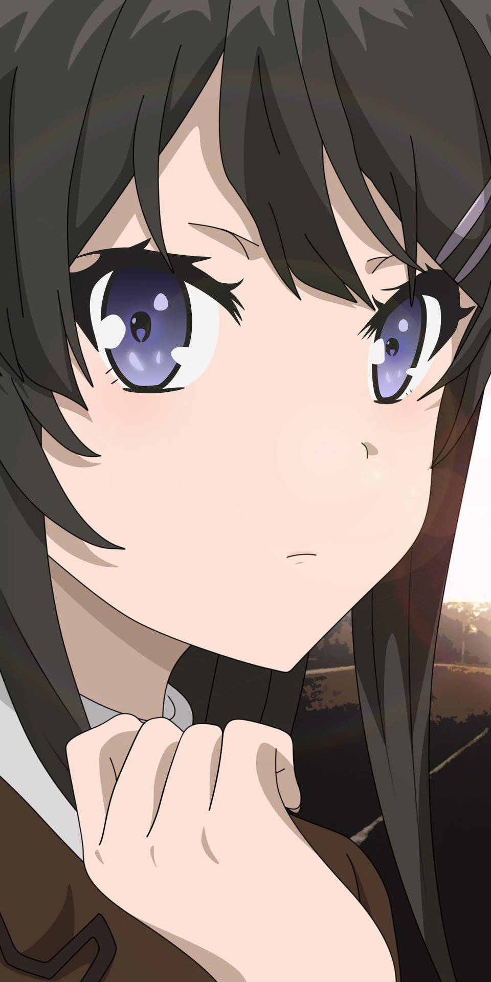 Rascal Does Not Dream Of Bunny Girl Senpai Sakurajima Face Background