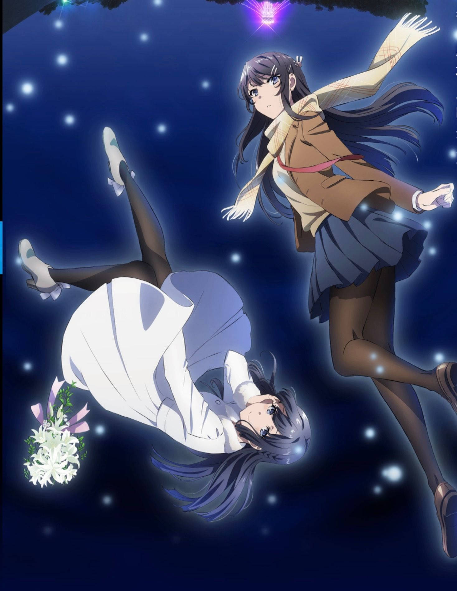 Rascal Does Not Dream Of Bunny Girl Senpai Shoko And Mai Background