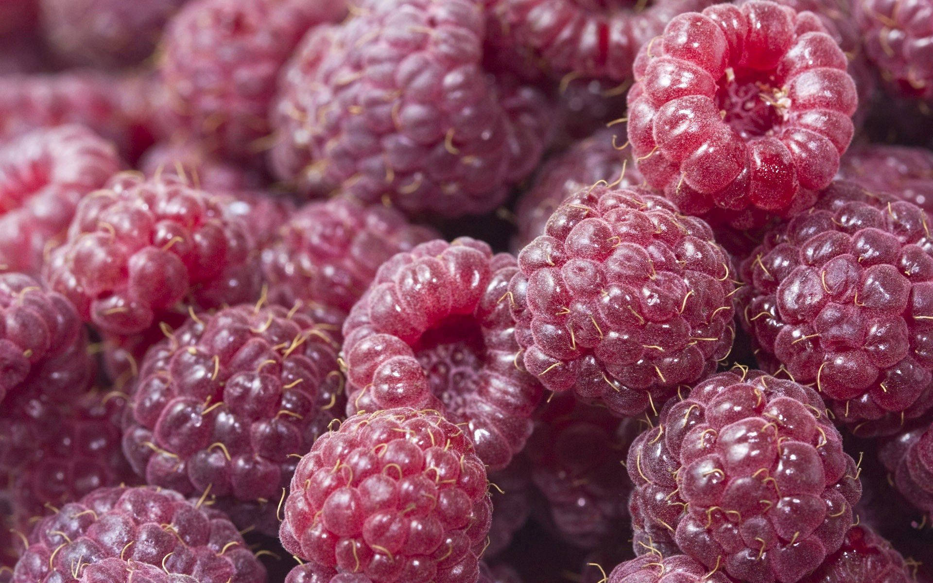 Raspberry Nutritious Food Background