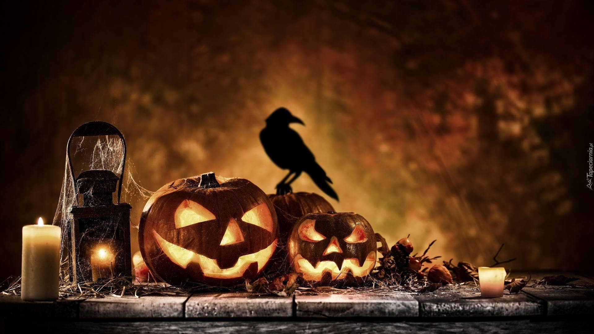 Raven On Pumpkin Halloween Aesthetic Background