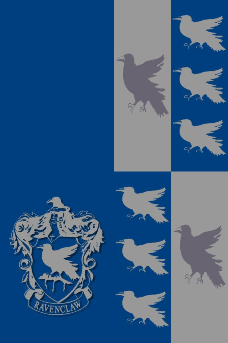 Ravenclaw Blue And Silver Flag Background