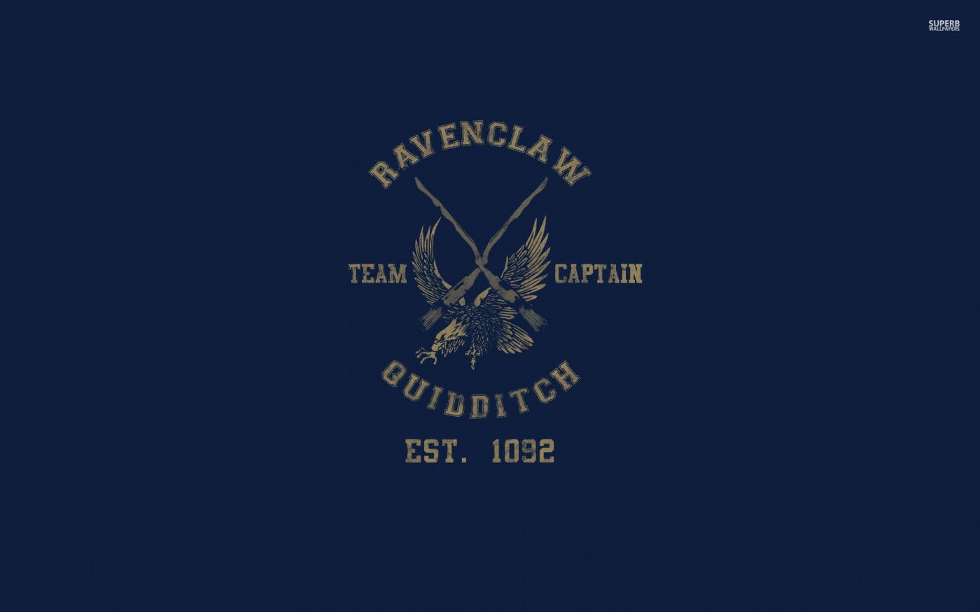 Ravenclaw Quidditch Harry Potter Ipad Background