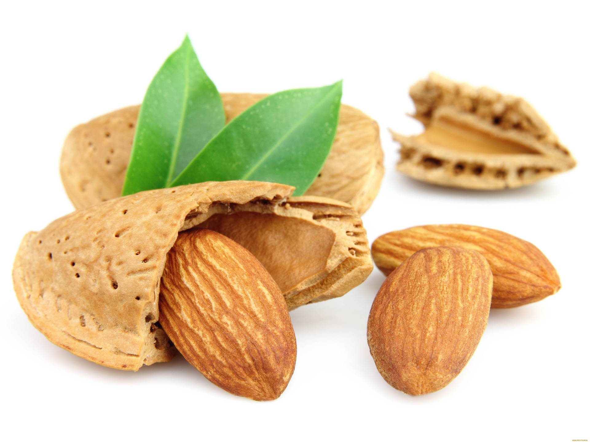 Raw Almond Shells Background