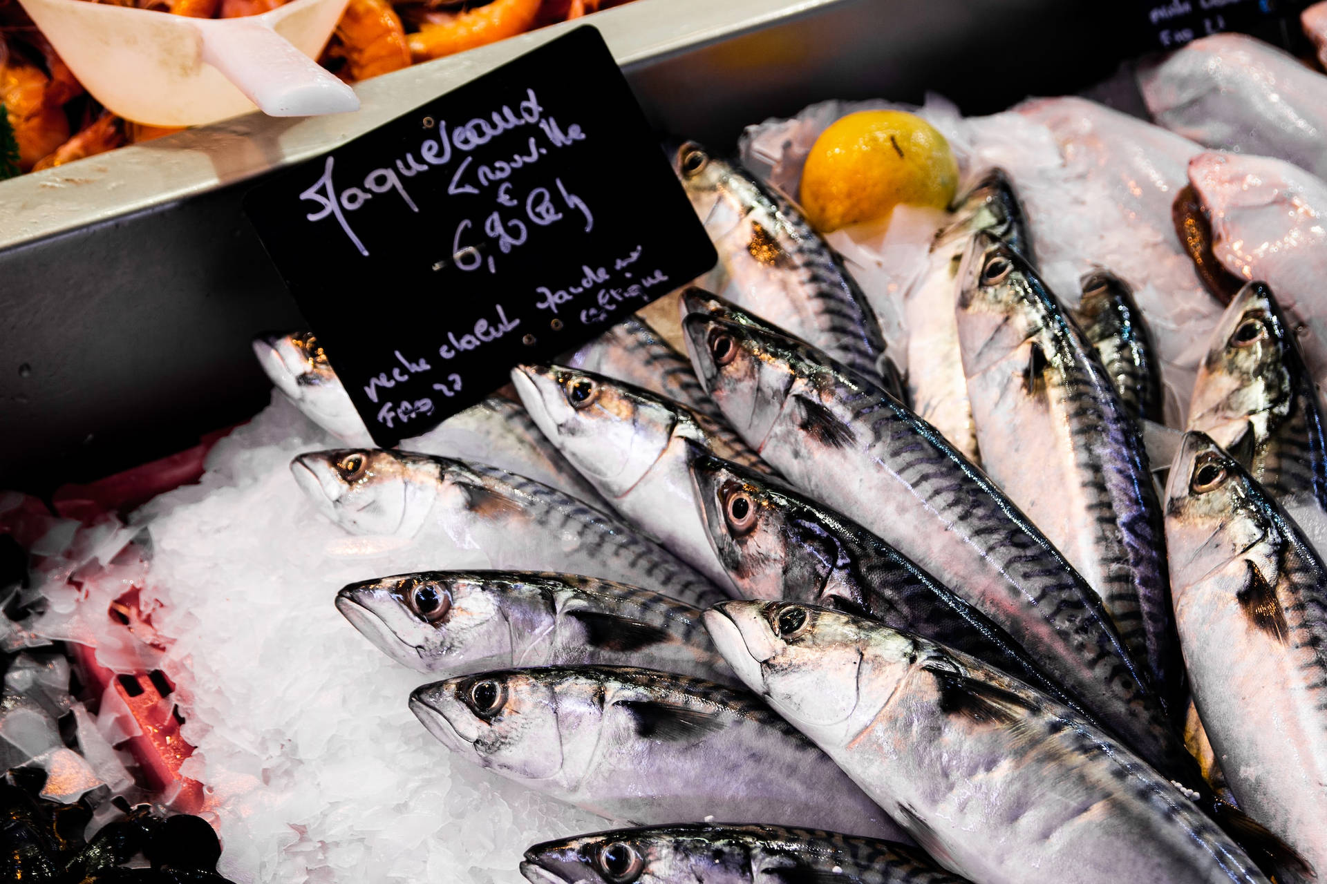 Raw White Mackerel Fish On Ice