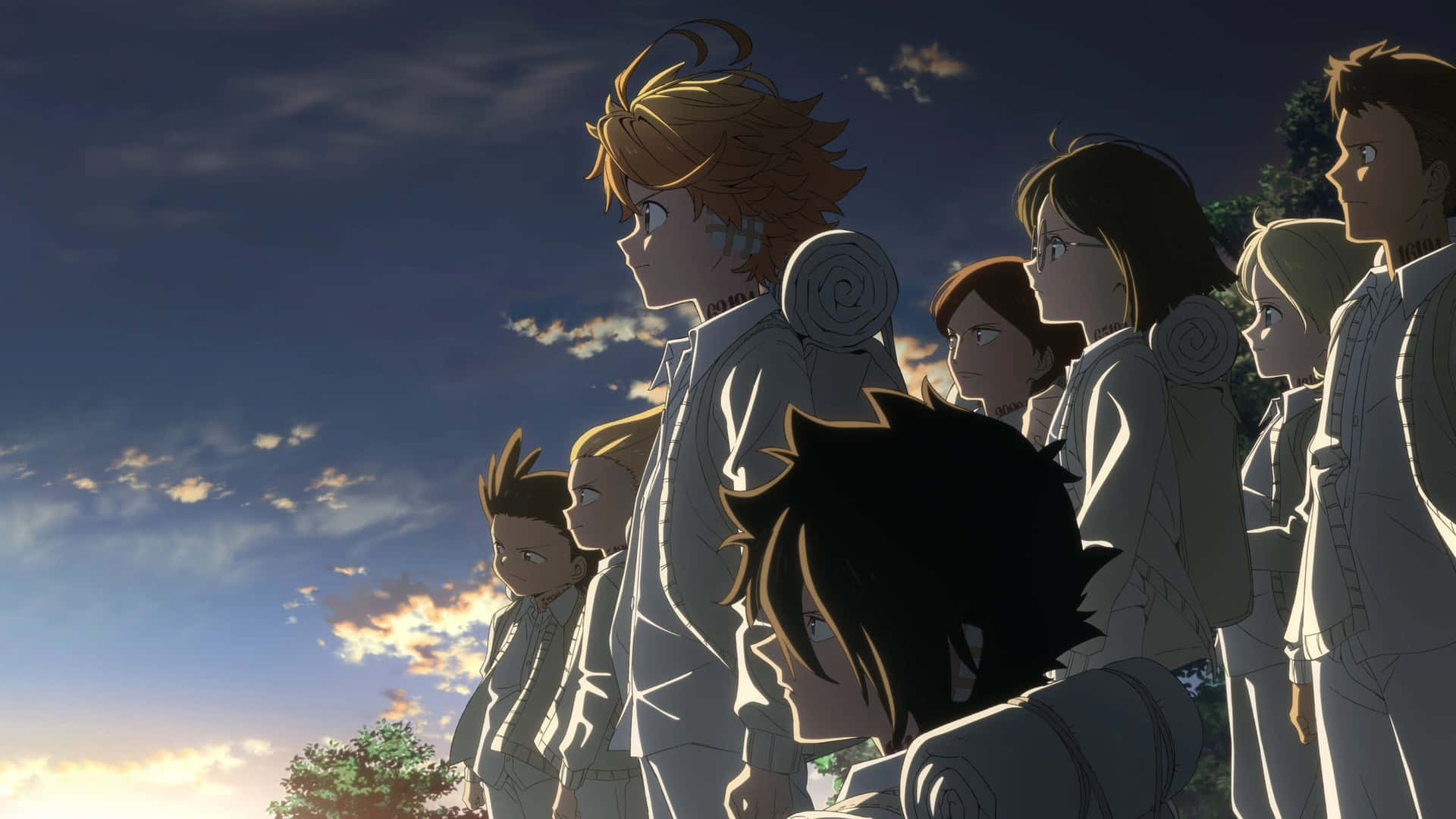 Ray From The Promised Neverland Anime Background