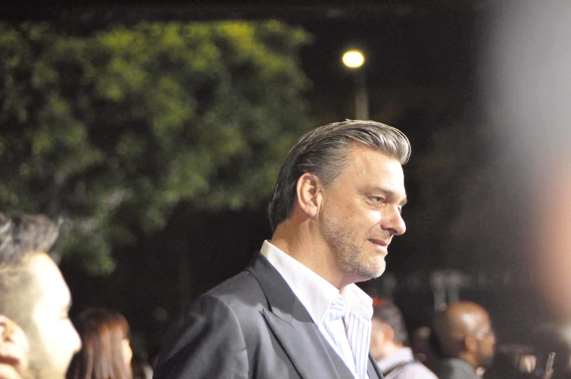 Ray Stevenson, Actor Background