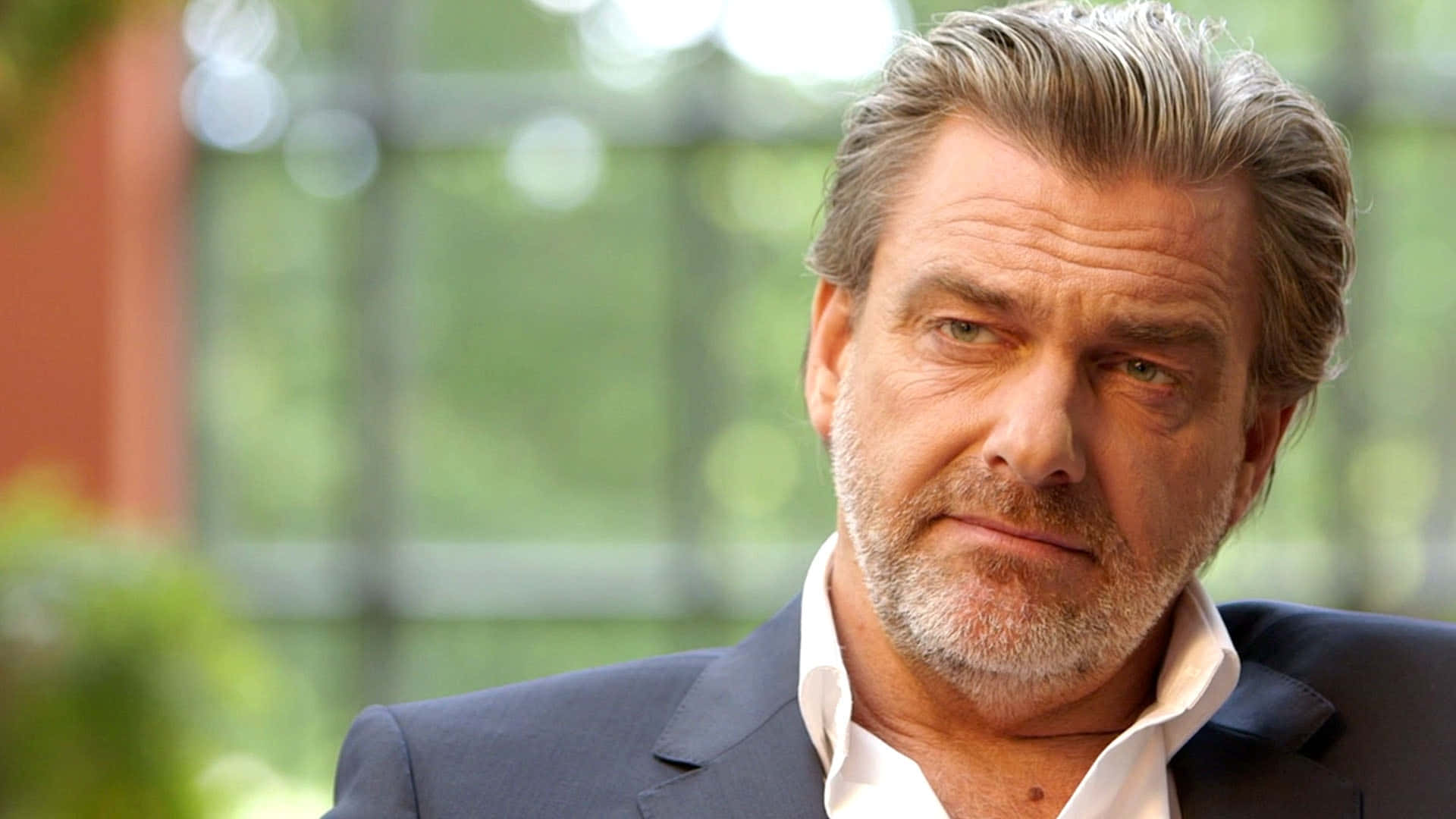 Ray Stevenson, English Actor Background