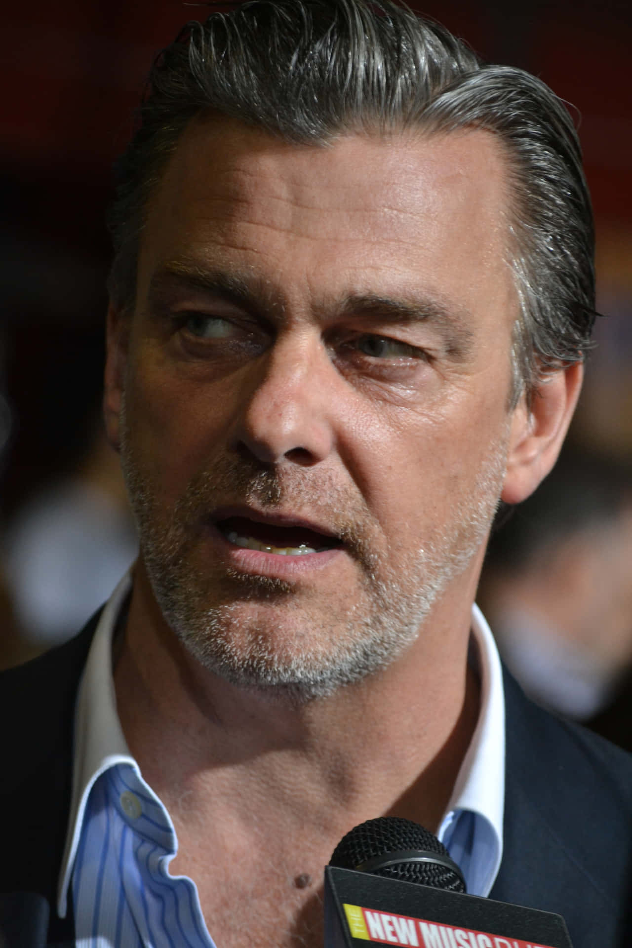 Ray Stevenson Strikes A Suave Pose Background